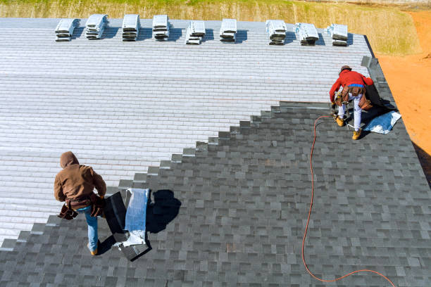 Best Roof Gutter Cleaning  in Huntingdon, TN
