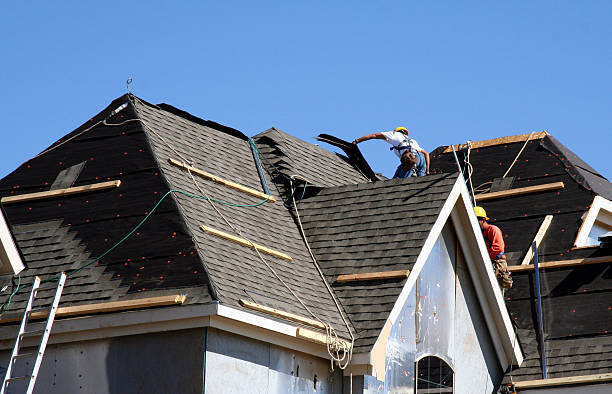 Best Roof Gutter Cleaning  in Huntingdon, TN